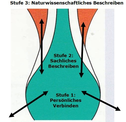 n prozess stufe3